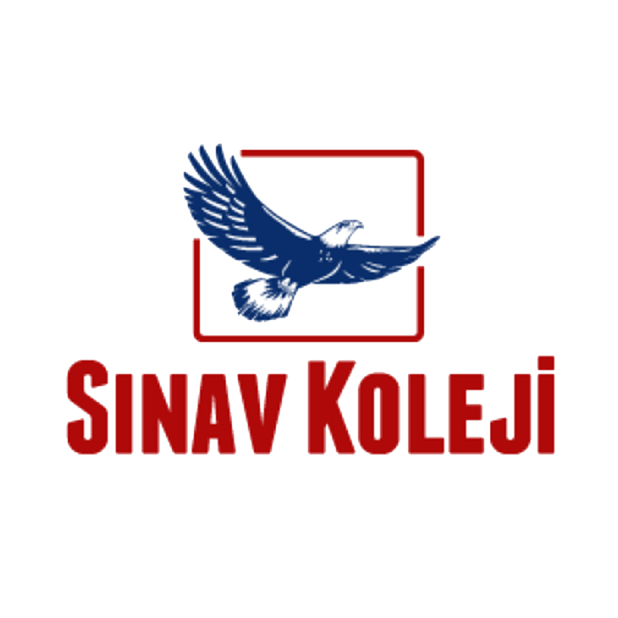 sinav1.png